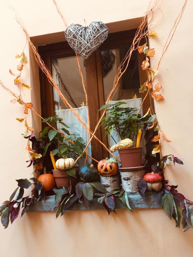 La Maison D'Alize Леко Екстериор снимка